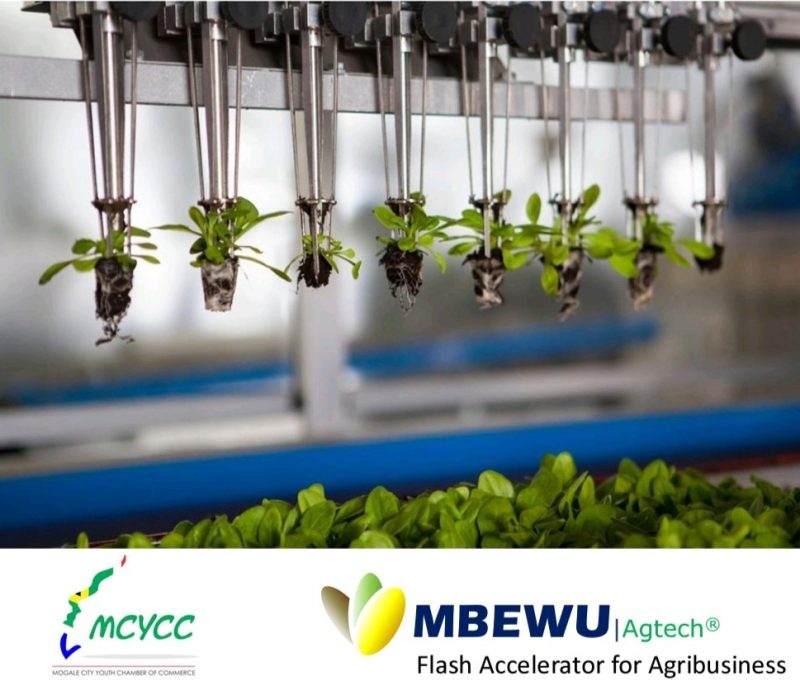 Screenshot_20210710-175839_Acrobat for Samsung